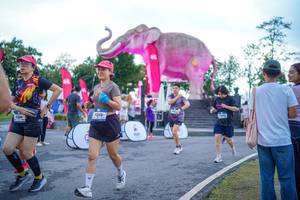 BIB: 
                            <button type="button" onclick="openModal(26551664)" class="btn btn-primary btn-sm float-right btn-popup" data-toggle="modal" data-target=".modal-high-quality">
                        <i class="fas fa-shopping-cart"></i> Add to Cart
                    </button>
                                            <button type="button" onclick="isThisMe(26551664, true)" class="btn btn-success btn-sm float-right btn-popup btn-isme hidden" data-toggle="tooltip" data-placement="bottom" title="นี่คือรูปของคุณใช่ไหม คลิกที่นี่เพื่อเอาเข้าอัลบั้ม">
                        <i class="fas fa-plus"></i> Add to album
                    </button>
                    <button type="button" onclick="isThisMe(26551664, false)" class="btn btn-warning btn-sm float-right btn-popup btn-isnotme hidden">
                        <i class="fas fa-ban"></i> Remove from album
                    </button>